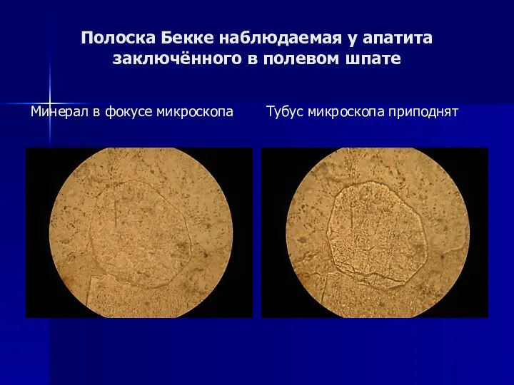 Полоска Бекке наблюдаемая у апатита заключённого в полевом шпате Минерал в фокусе микроскопа Тубус микроскопа приподнят