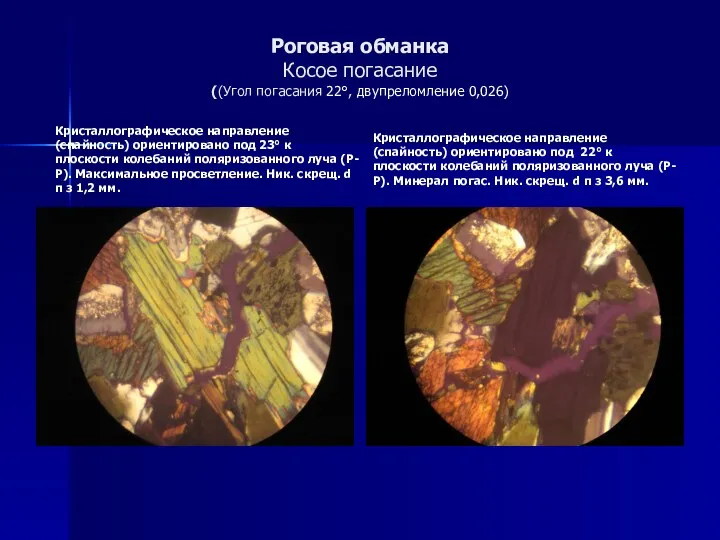 Роговая обманка Косое погасание ((Угол погасания 22°, двупреломление 0,026) Кристаллографическое