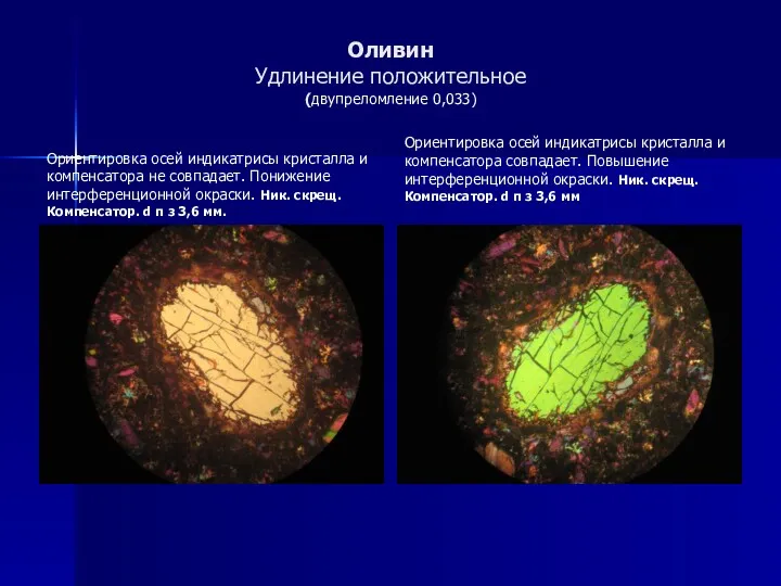 Оливин Удлинение положительное (двупреломление 0,033) Ориентировка осей индикатрисы кристалла и