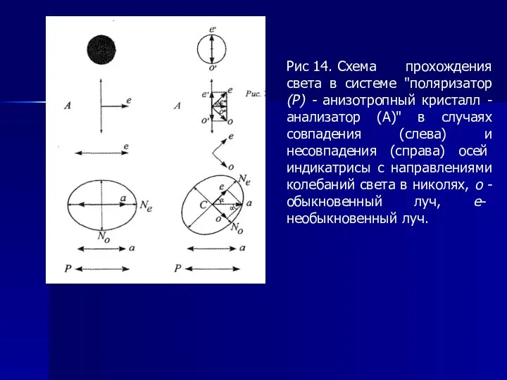 Рис 14. Схема прохождения света в системе "поляризатор (Р) -