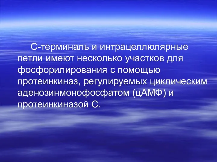 C-терминаль и интрацеллюлярные петли имеют несколько участков для фосфорилирования с помощью протеинкиназ, регулируемых