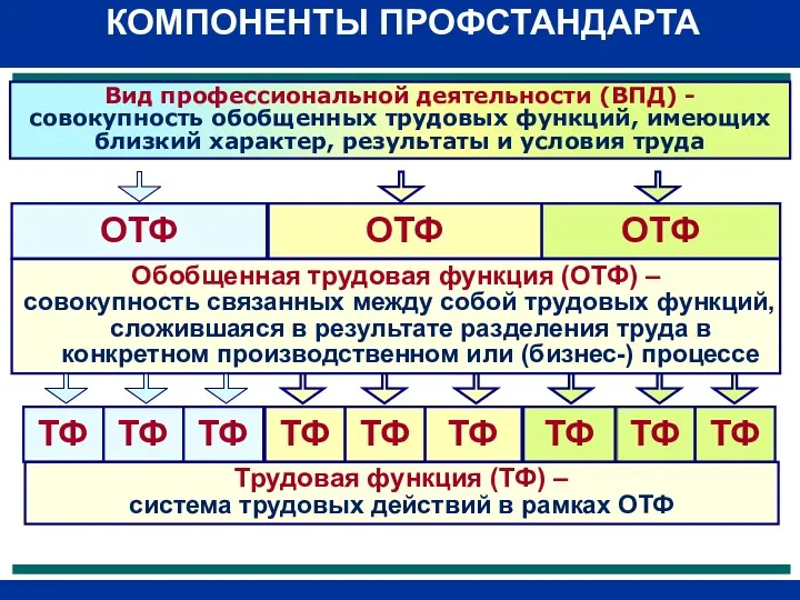 Трудовая функция (ТФ) – система трудовых действий в рамках ОТФ