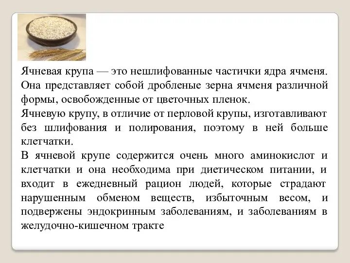 Ячневая крупа — это нешлифованные частички ядра ячменя. Она представляет