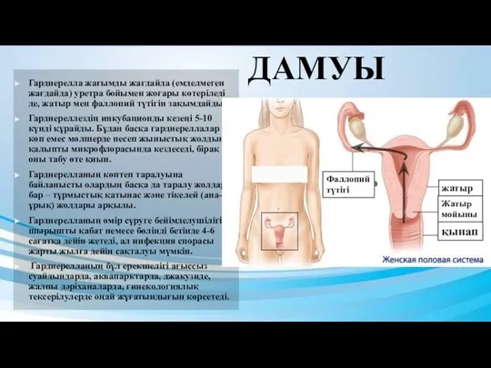 Гарднерелла жағымды жағдайда (емделмеген жағдайда) уретра бойымен жоғары көтеріледі де,