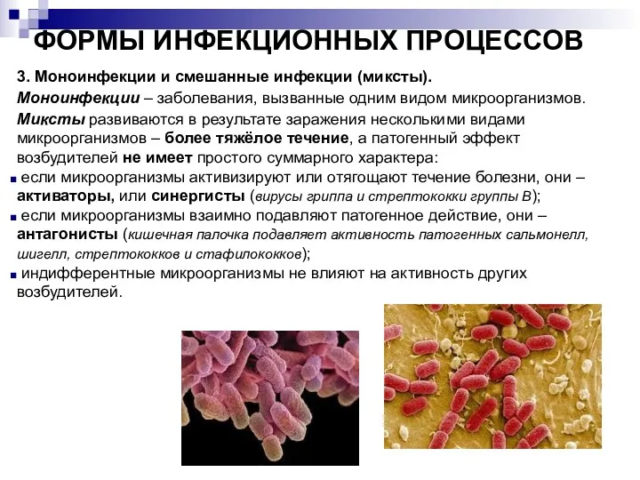 ФОРМЫ ИНФЕКЦИОННЫХ ПРОЦЕССОВ 3. Моноинфекции и смешанные инфекции (миксты). Моноинфекции