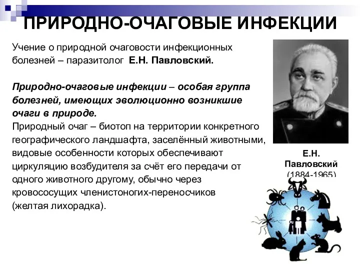 ПРИРОДНО-ОЧАГОВЫЕ ИНФЕКЦИИ Учение о природной очаговости инфекционных болезней – паразитолог