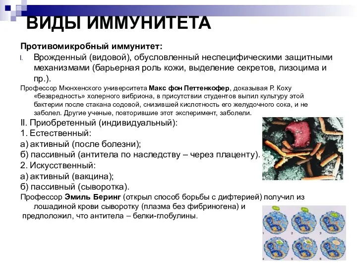 ВИДЫ ИММУНИТЕТА Противомикробный иммунитет: Врожденный (видовой), обусловленный неспецифическими защитными механизмами