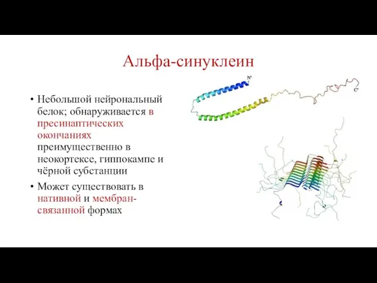 Альфа-синуклеин Небольшой нейрональный белок; обнаруживается в пресинаптических окончаниях преимущественно в