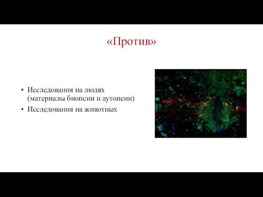 «Против» Исследования на людях (материалы биопсии и аутопсии) Исследования на животных