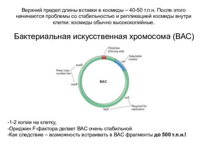 Верхний предел длины вставки в космиды – 40-50 т.п.н. После