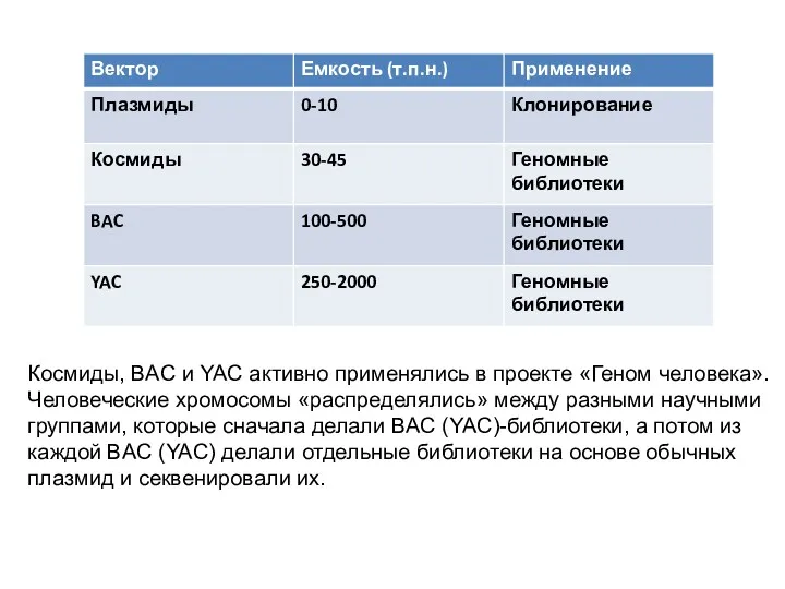 Космиды, BAC и YAC активно применялись в проекте «Геном человека».