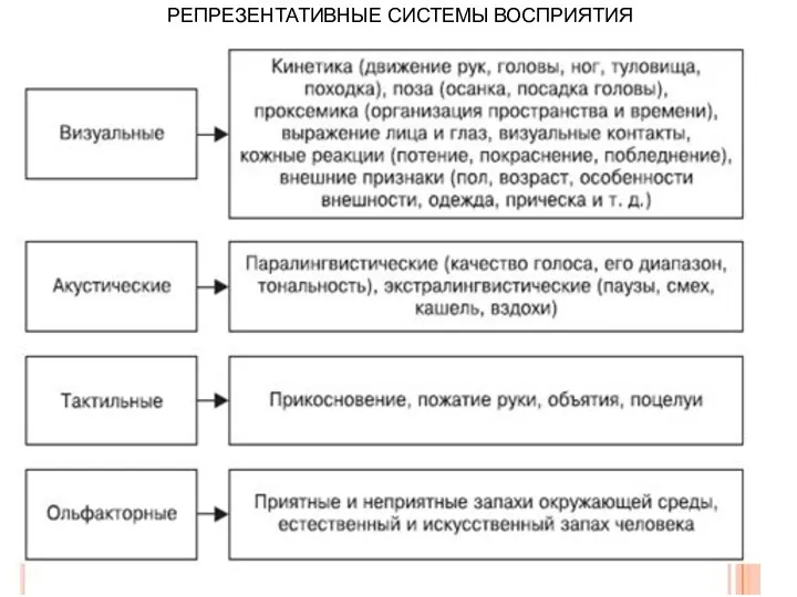 РЕПРЕЗЕНТАТИВНЫЕ СИСТЕМЫ ВОСПРИЯТИЯ