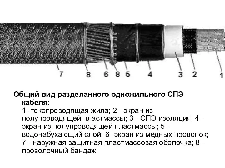 Общий вид разделанного одножильного СПЭ кабеля: 1- токопроводящая жила; 2