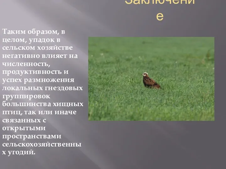 Заключение Таким образом, в целом, упадок в сельском хозяйстве негативно