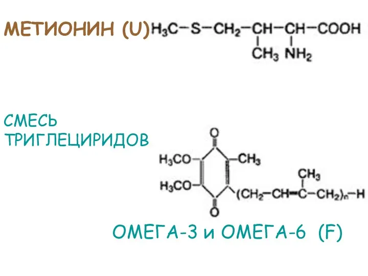 МЕТИОНИН (U) СМЕСЬ ТРИГЛЕЦИРИДОВ ОМЕГА-3 и ОМЕГА-6 (F)