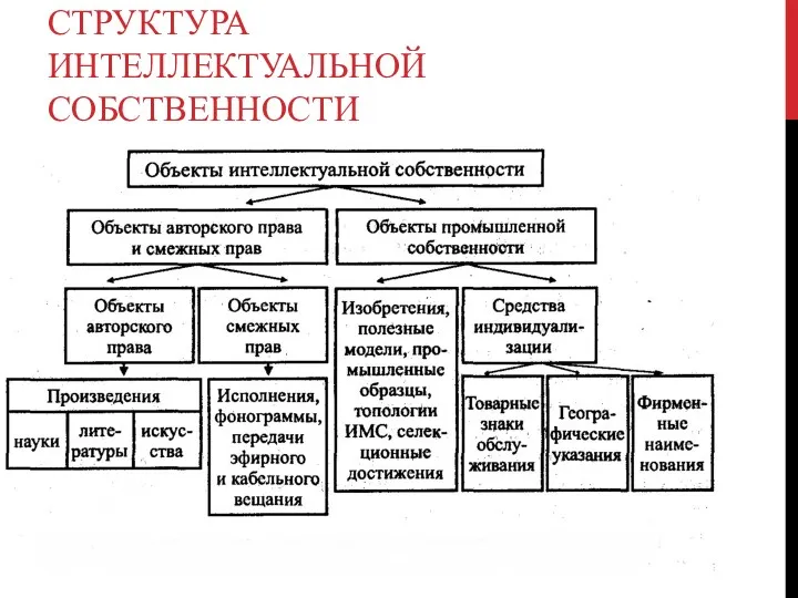 СТРУКТУРА ИНТЕЛЛЕКТУАЛЬНОЙ СОБСТВЕННОСТИ