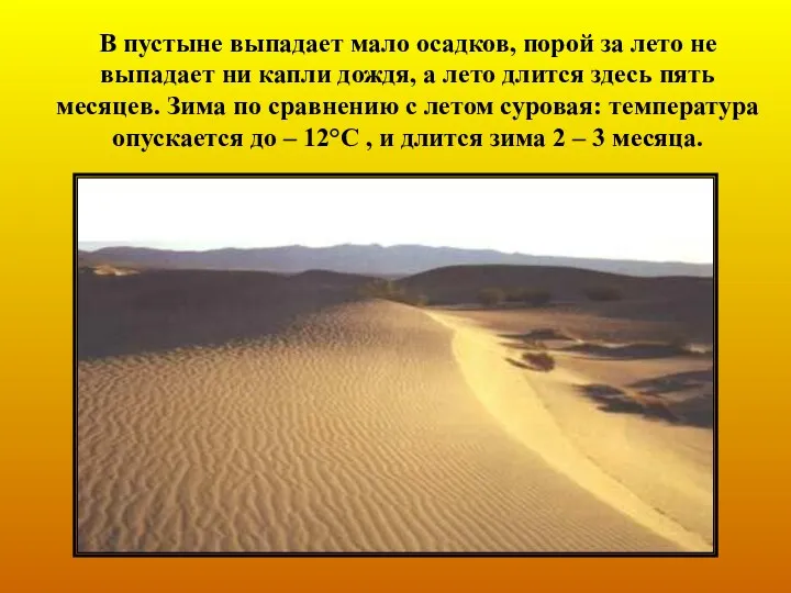 В пустыне выпадает мало осадков, порой за лето не выпадает