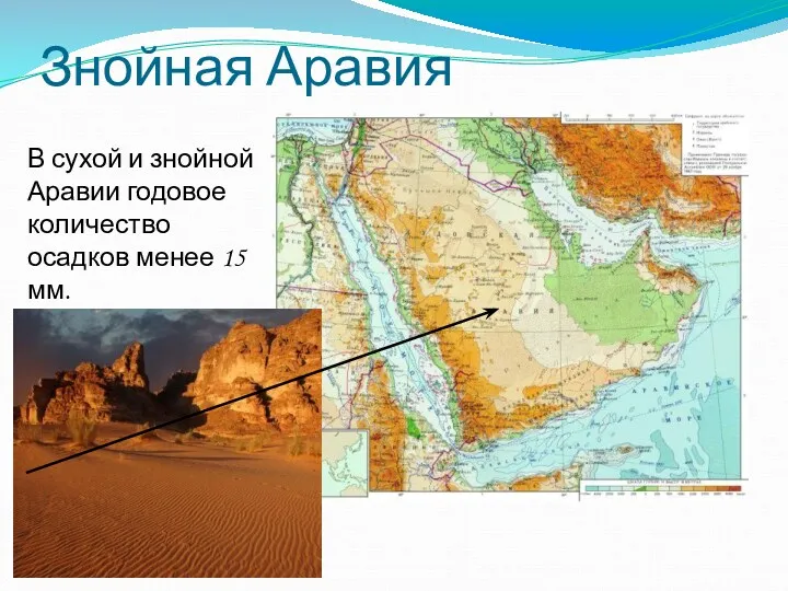Знойная Аравия В сухой и знойной Аравии годовое количество осадков менее 15 мм.