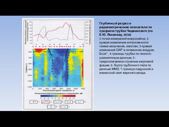 Глубинный разрез и радиометрические показатели по профилю трубки Чидвинского (по