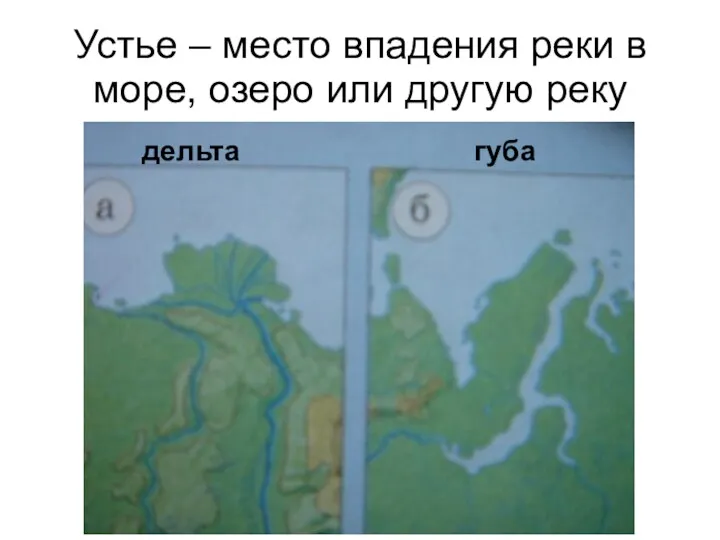 Устье – место впадения реки в море, озеро или другую реку дельта губа