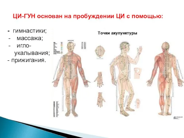 ЦИ-ГУН основан на пробуждении ЦИ с помощью: - гимнастики; массажа; игло- укалывания; - прижигания.