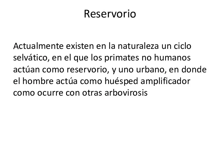 Reservorio Actualmente existen en la naturaleza un ciclo selvático, en