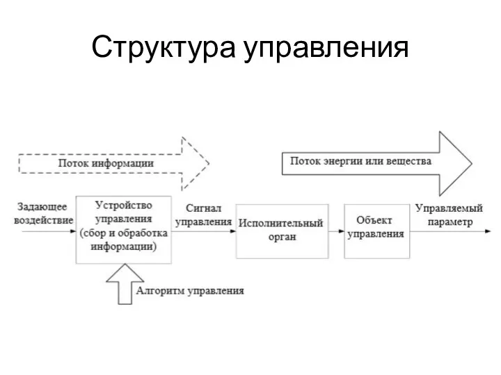 Структура управления