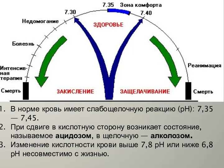 В норме кровь имеет слабощелочную реакцию (рН): 7,35 — 7,45.