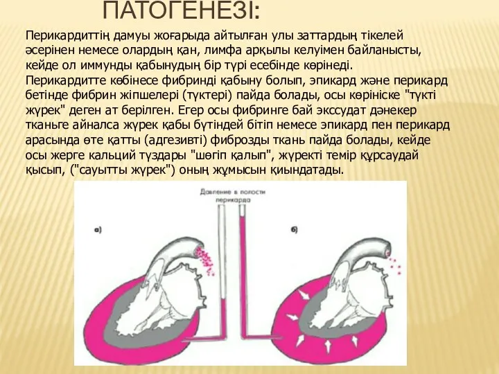 Перикардиттің дамуы жоғарыда айтылған улы заттардың тікелей әсерінен немесе олардың