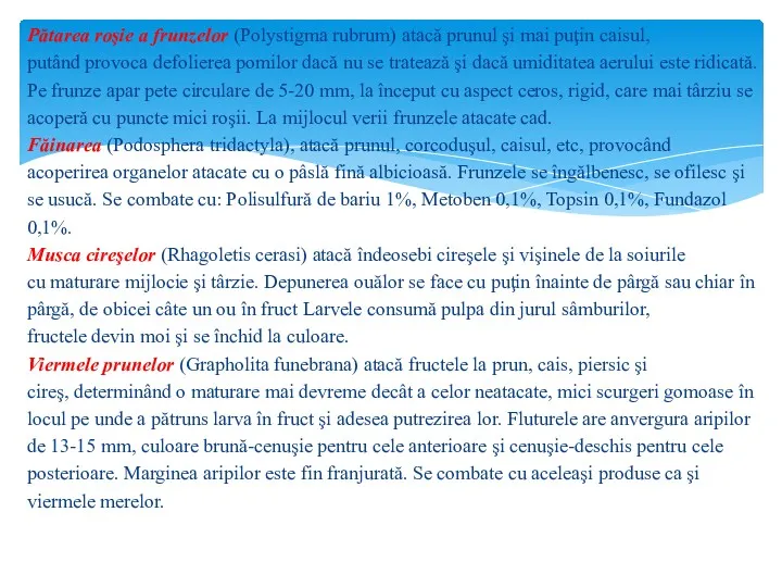 Pătarea roşie a frunzelor (Polystigma rubrum) atacă prunul şi mai puţin caisul, putând