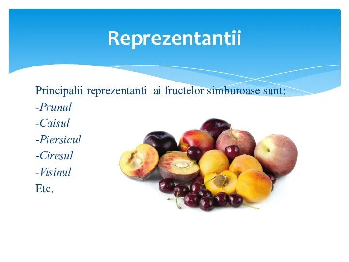 Principalii reprezentanti ai fructelor simburoase sunt: -Prunul -Caisul -Piersicul -Ciresul -Visinul Etc. Reprezentantii
