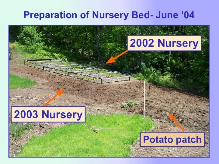 Preparation of Nursery Bed- June ’04 Potato patch