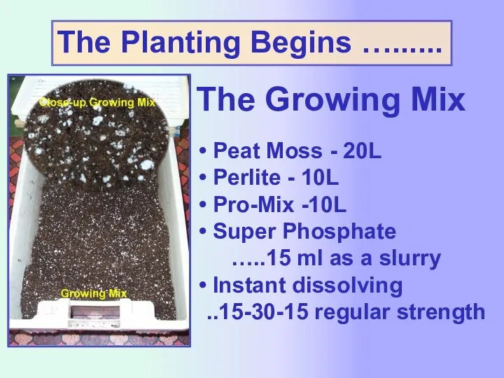 The Planting Begins …...... The Growing Mix Peat Moss -