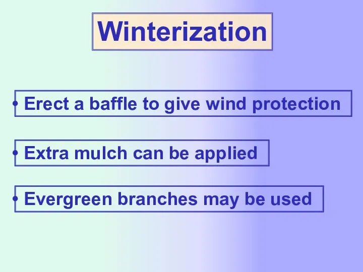 Winterization Erect a baffle to give wind protection Extra mulch