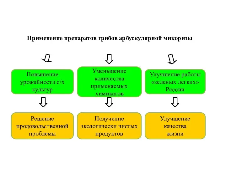 Повышение урожайности с/х культур Улучшение работы «зеленых легких» России Уменьшение