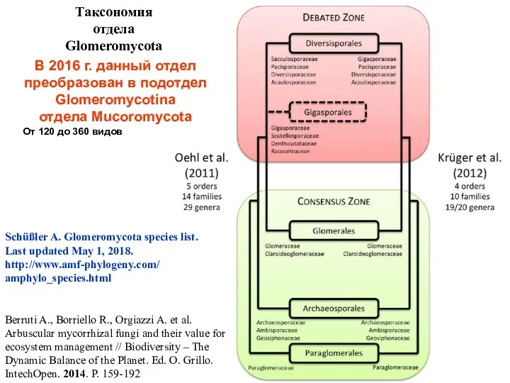 Berruti A., Borriello R., Orgiazzi A. et al. Arbuscular mycorrhizal