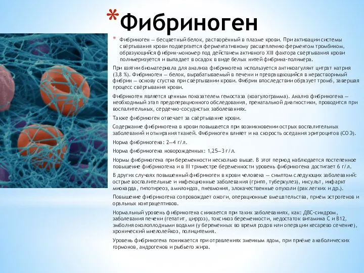 Фибриноген Фибриноген — бесцветный белок, растворённый в плазме крови. При