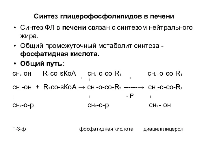 Синтез глицерофосфолипидов в печени Синтез ФЛ в печени связан с