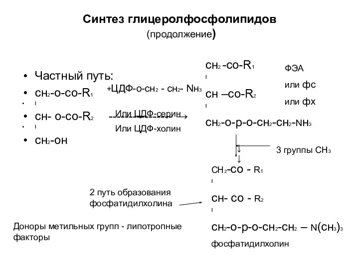 Синтез глицеролфосфолипидов (продолжение) Частный путь: сн2-о-со-R1 I сн- о-со-R2 ----------------