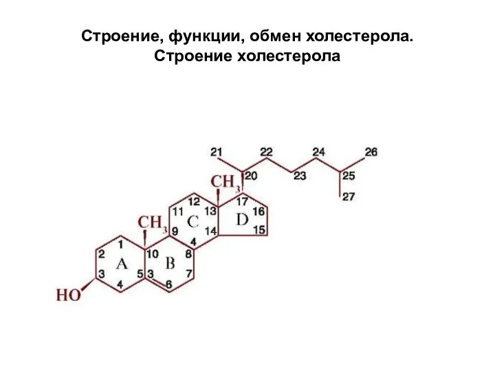 Строение, функции, обмен холестерола. Строение холестерола