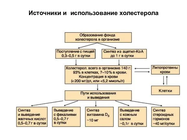 Источники и использование холестерола