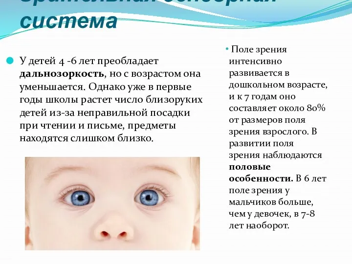 Зрительная сенсорная система У детей 4 -6 лет преобладает дальнозоркость,