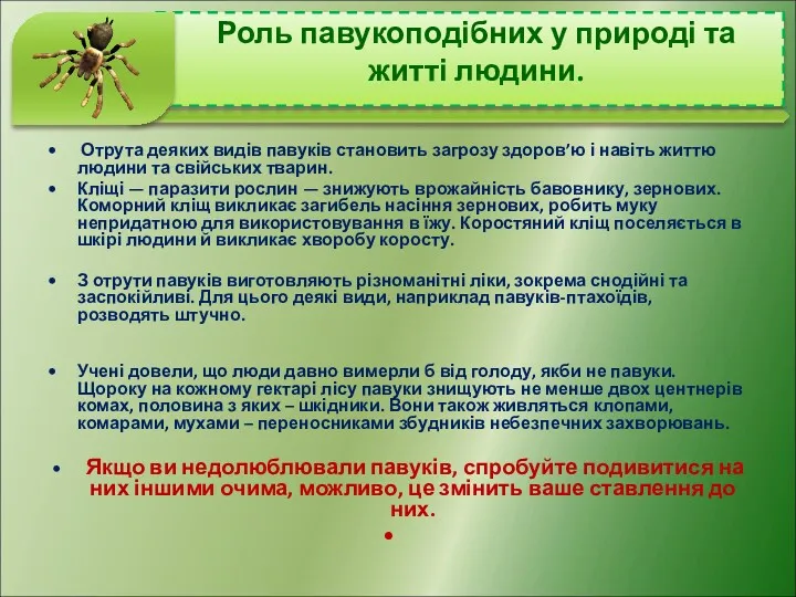 Отрута деяких видів павуків становить загрозу здоров’ю і навіть життю