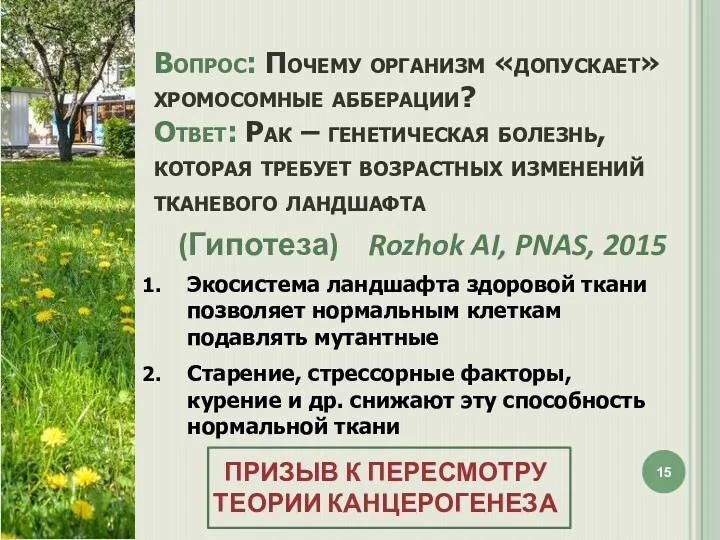 Вопрос: Почему организм «допускает» хромосомные абберации? Ответ: Рак – генетическая