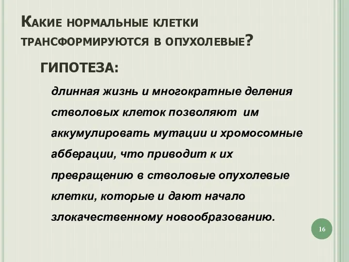 ГИПОТЕЗА: длинная жизнь и многократные деления стволовых клеток позволяют им