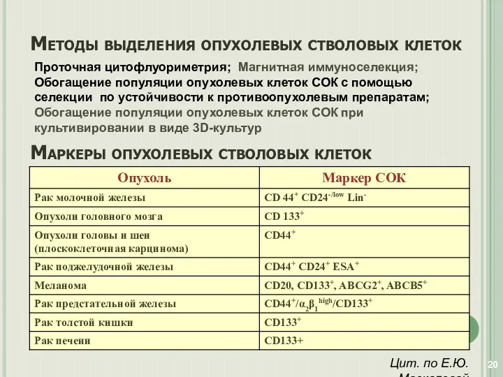 Маркеры опухолевых стволовых клеток Цит. по Е.Ю. Москалевой Методы выделения