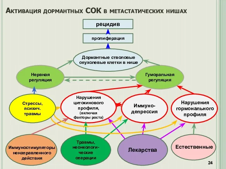 рецидив пролиферация Нервная регуляция Травмы, неонкологи-ческие операции Нарушения цитокинового профиля,