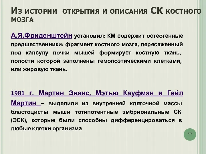 Из истории открытия и описания СК костного мозга А.Я.Фриденштейн установил: