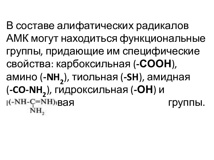 В составе алифатических радикалов АМК могут находиться функциональные группы, придающие