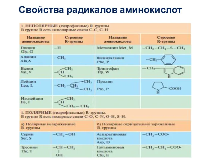 Свойства радикалов аминокислот